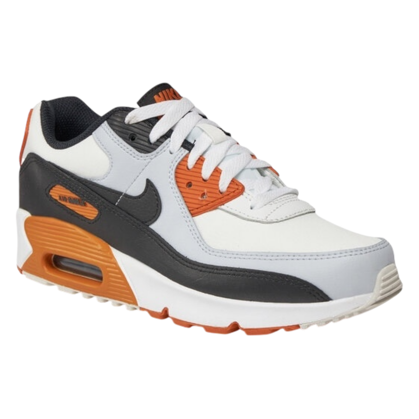 Nike AIR MAX 90 LTR (GS)