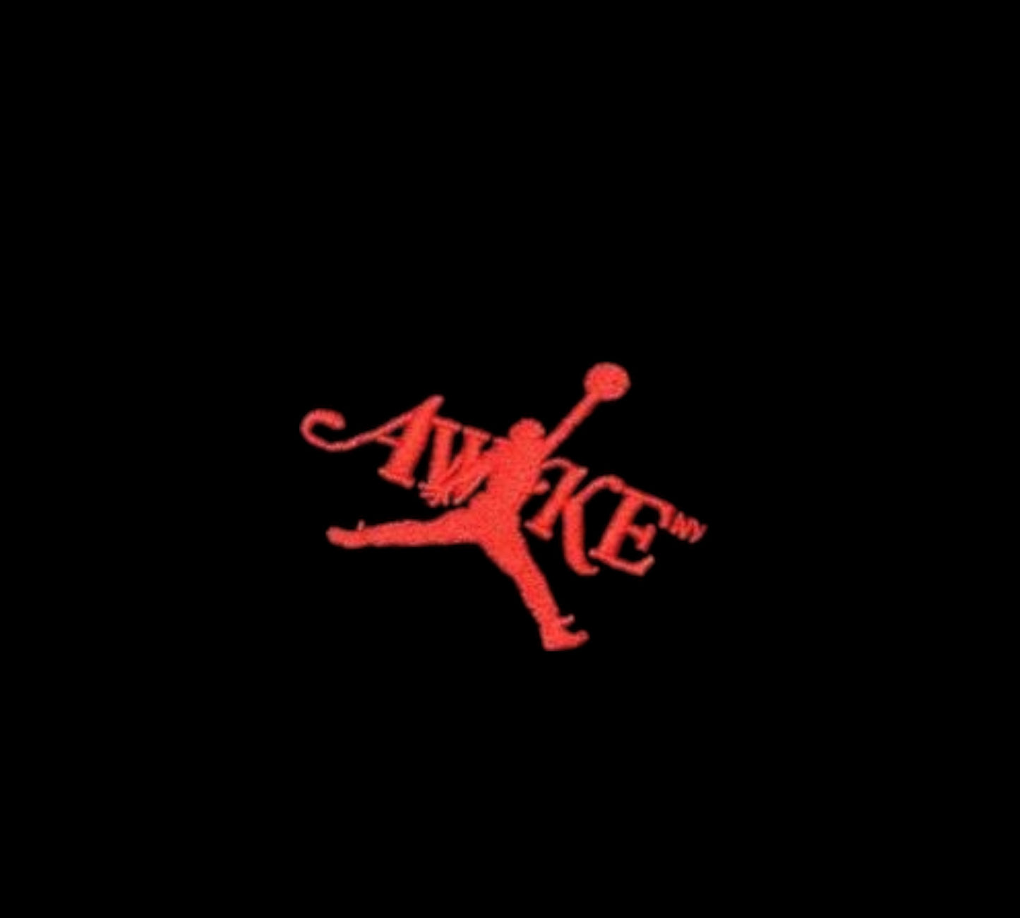 Jordan X Awake Fleece Hoody