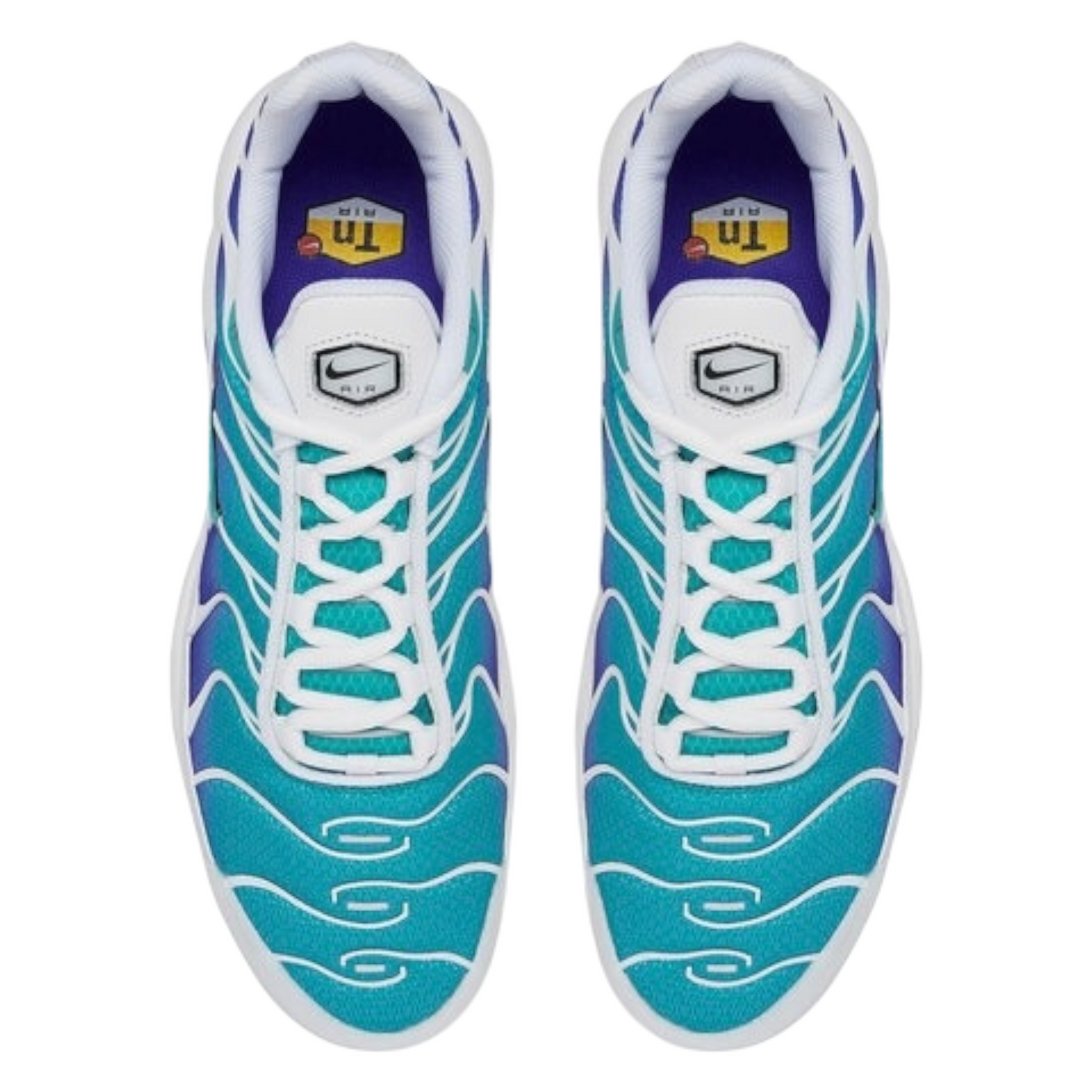 Nike Air Max Plus "Aqua"