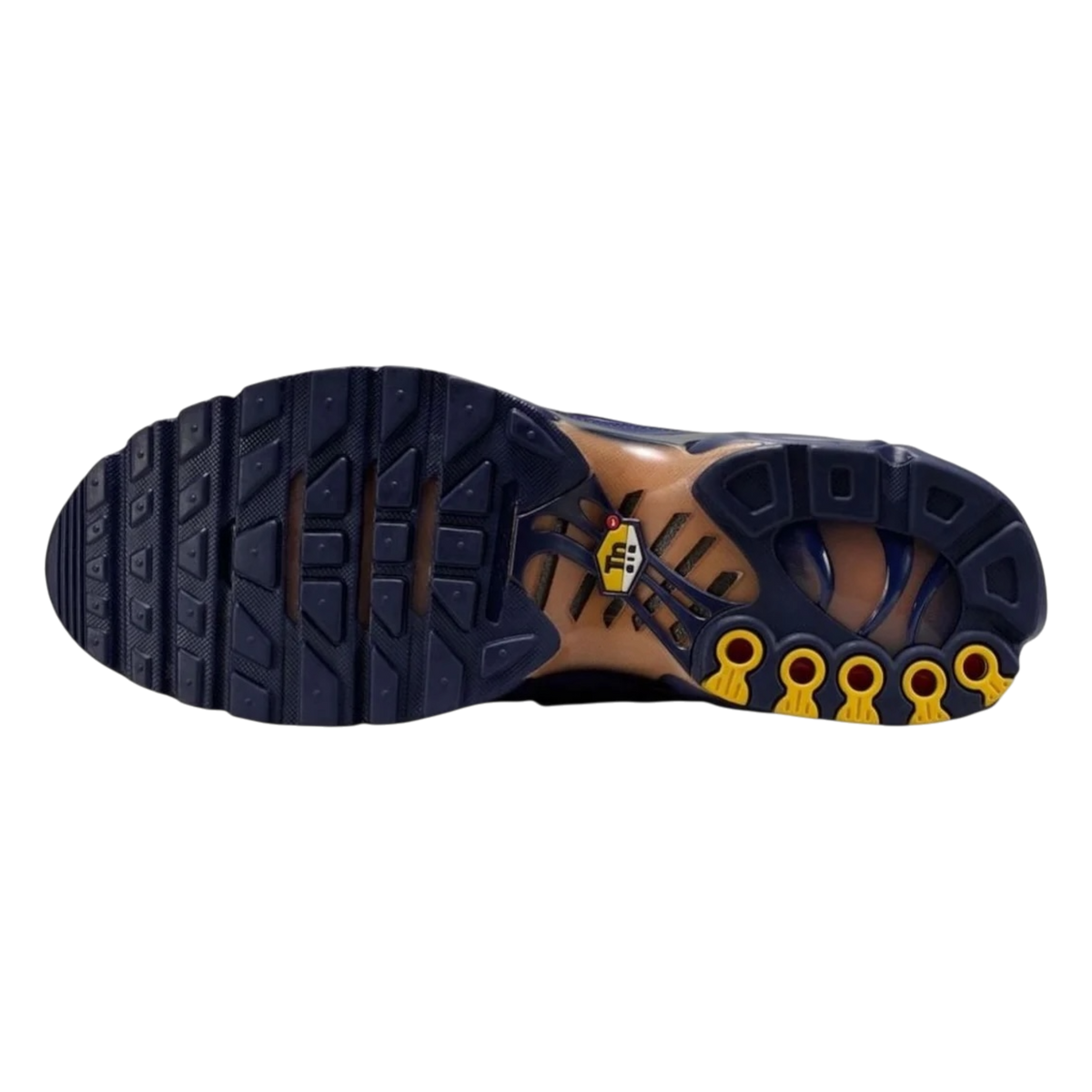 Nike Air Max Plus French Football Federation