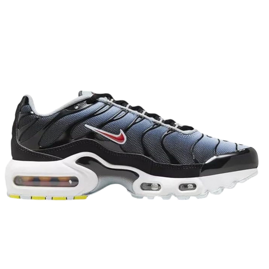 Nike Air Max Plus Gs