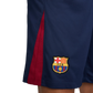 F.C. Barcelona 2024/25 Stadium Home Men's Nike Dri-FIT Football Shorts