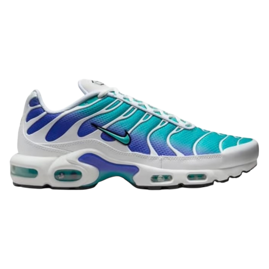 Nike Air Max Plus "Aqua"