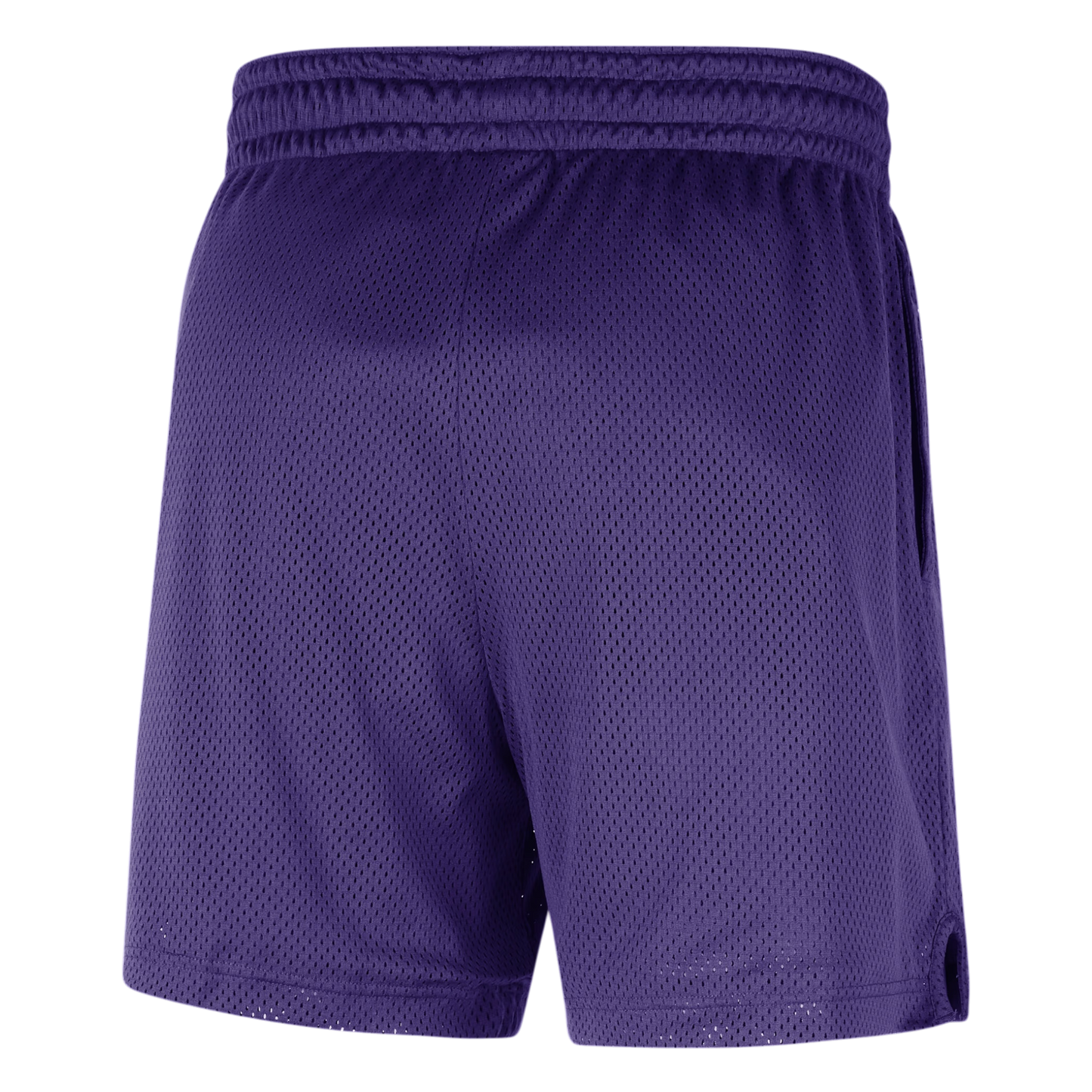 Nike NBA Los Angeles Lakers Mesh Shorts Field Purple