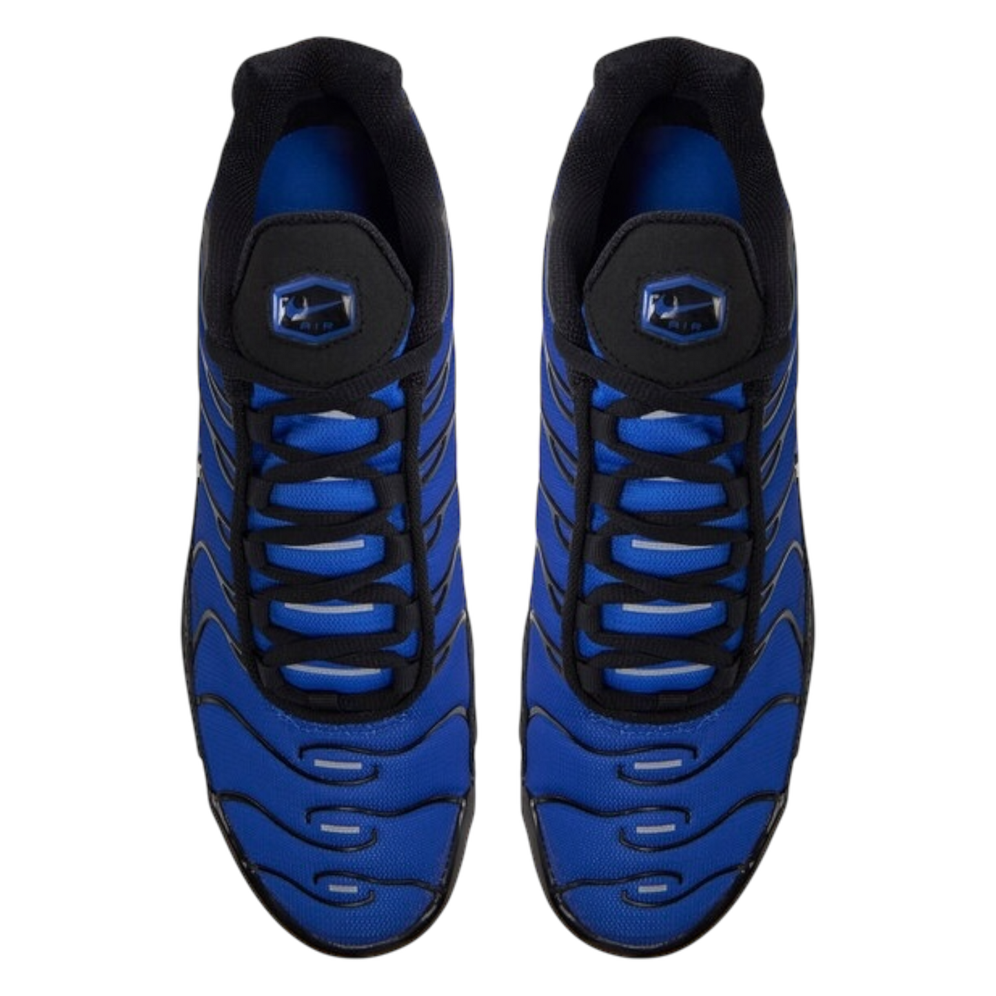 NIKE AIR MAX PLUS BLACK & RACER BLUE