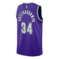 Nike Antetokounmpo Milwaukee Bucks NBA Dri-Fit Jersey Purple
