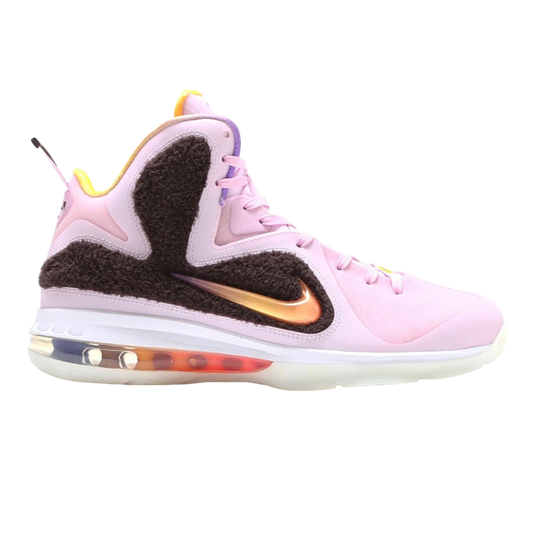 Nike Lebron IX