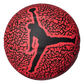 Jordan Skills 2.0 Graphic Basketball