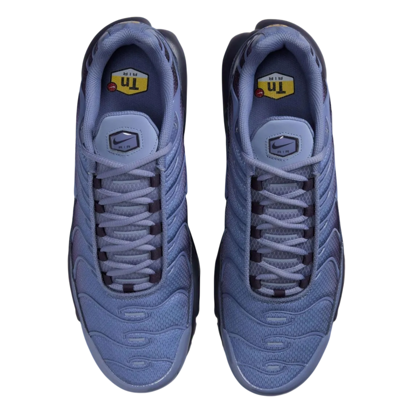 Air Max Plus "World Indigo"