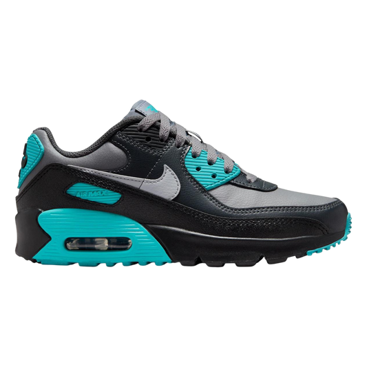 Nike Air Max 90 LTR GS 'Dusty Cactus'