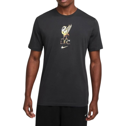 Nike Liverpool T-Shirt Crest Smoke Grey