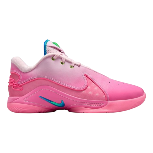 Nike LeBron 22 "I Promise"