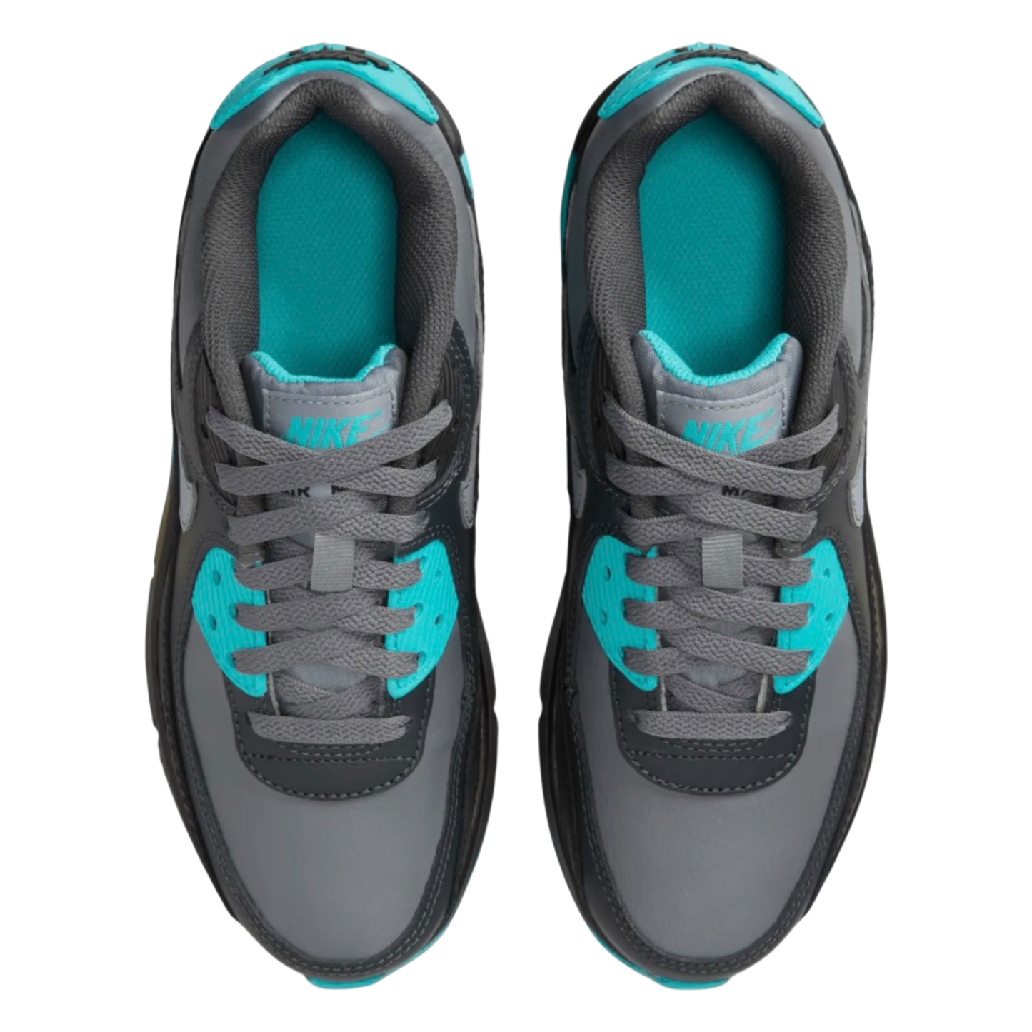 Nike Air Max 90 LTR GS 'Dusty Cactus'