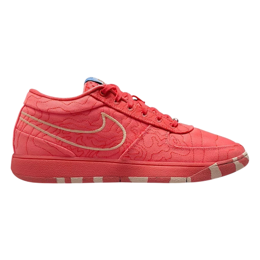 Nike Book 1 "Sedona"