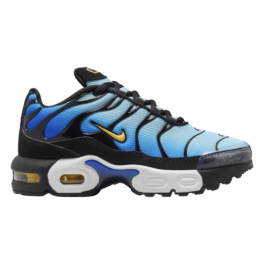 Nike Air Max Plus
"Hyper Blue"