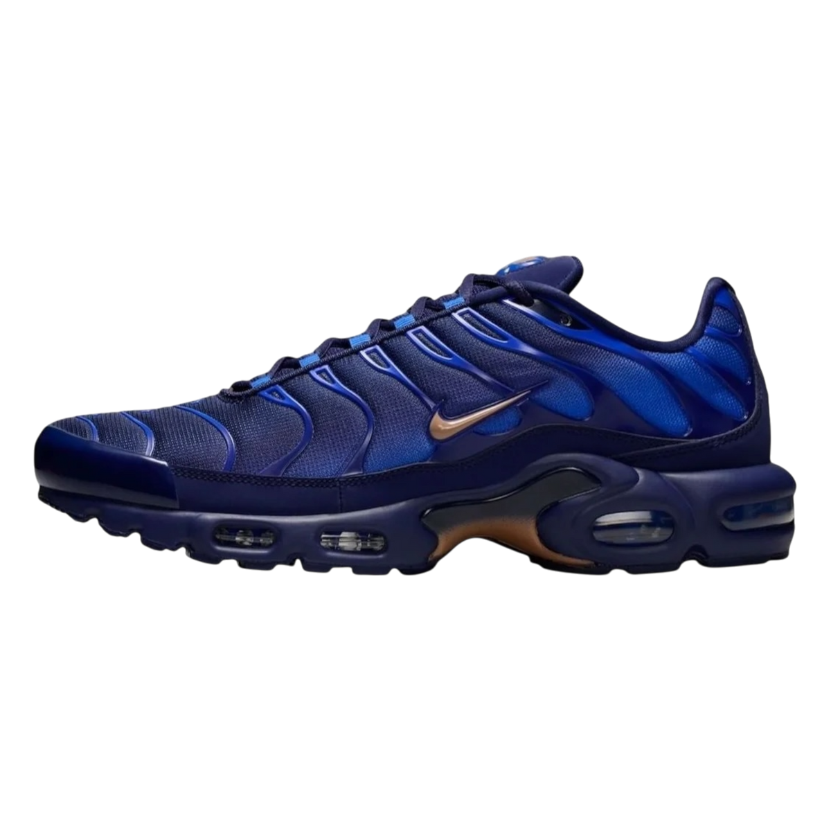 Nike Air Max Plus French Football Federation