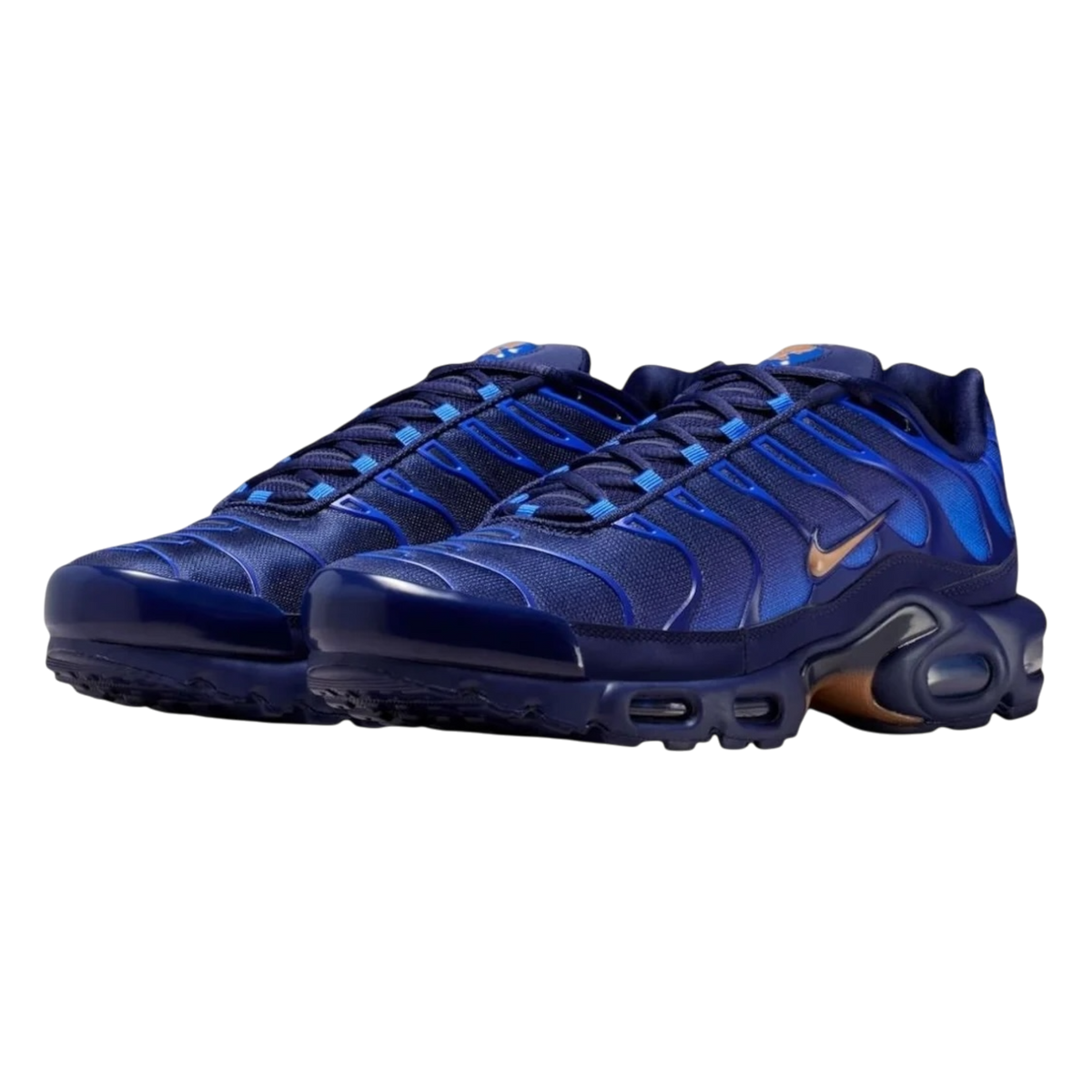 Nike Air Max Plus French Football Federation