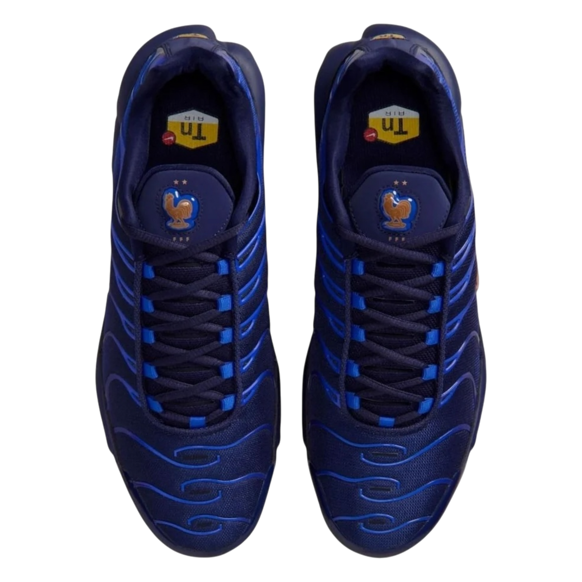 Nike Air Max Plus French Football Federation