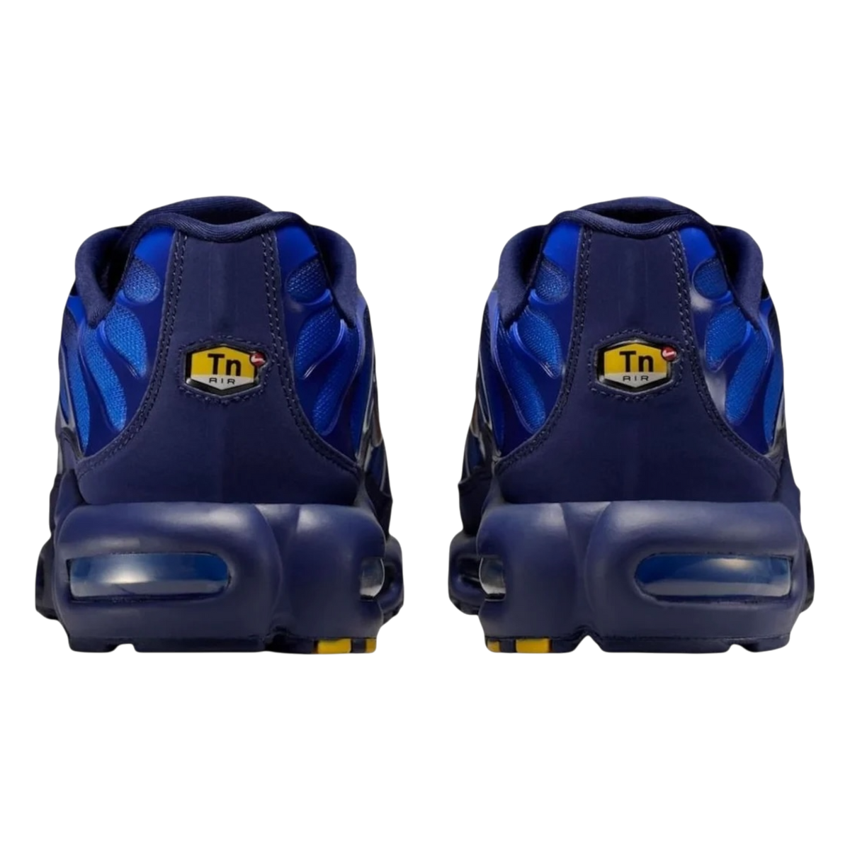 Nike Air Max Plus French Football Federation